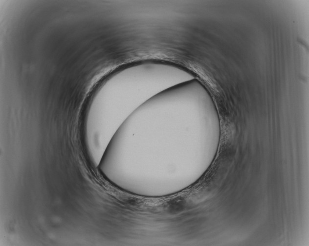 X0000097880583200803140944