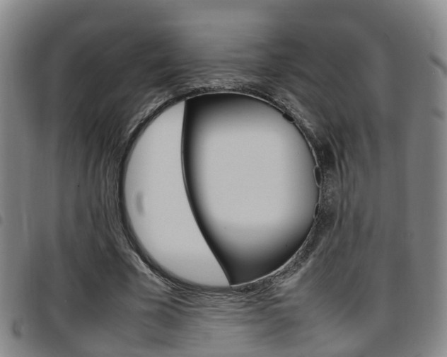 X0000097880585200803140944