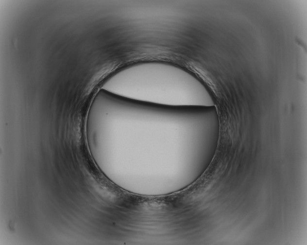 X0000097880586200803140944
