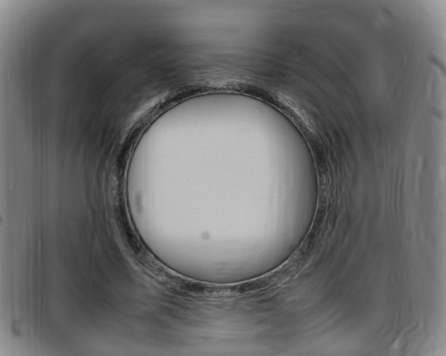 X0000097880587200803140944