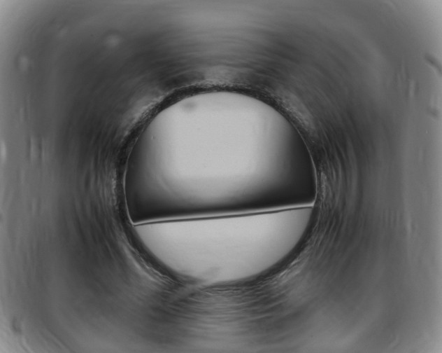 X0000097880588200803140944