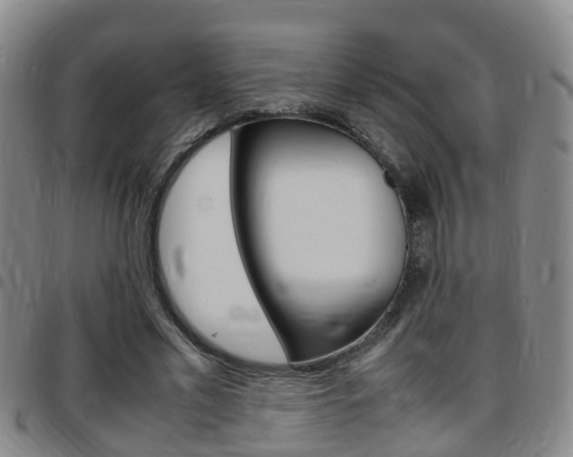 X0000097880589200803140944