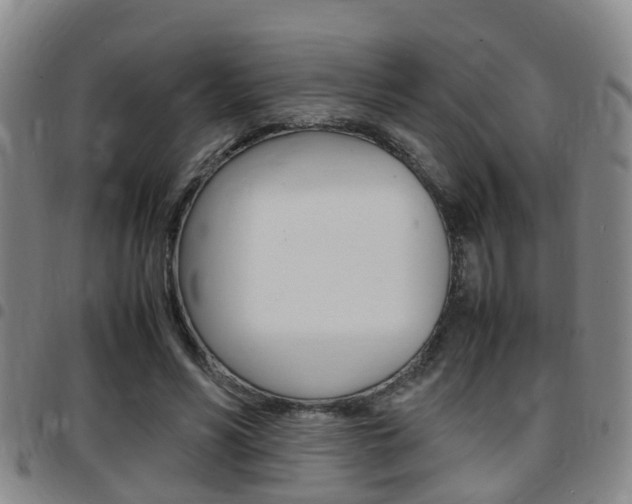 X0000097880590200803140944