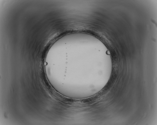 X0000097880591200803140944