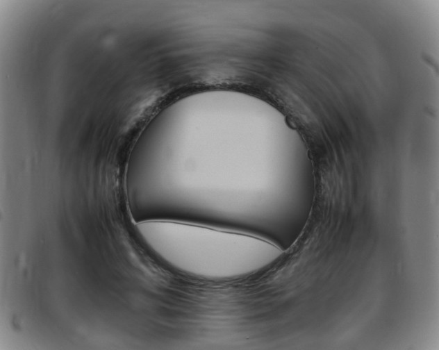 X0000097880592200803140944