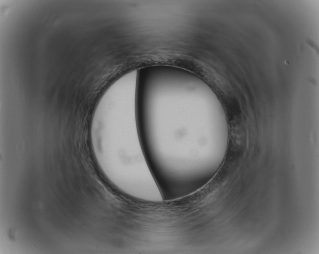 X0000097880593200803140944