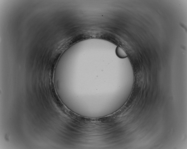 X0000097880594200803140944