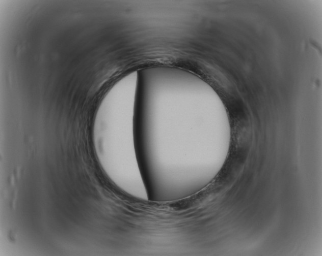 X0000097880595200803140944