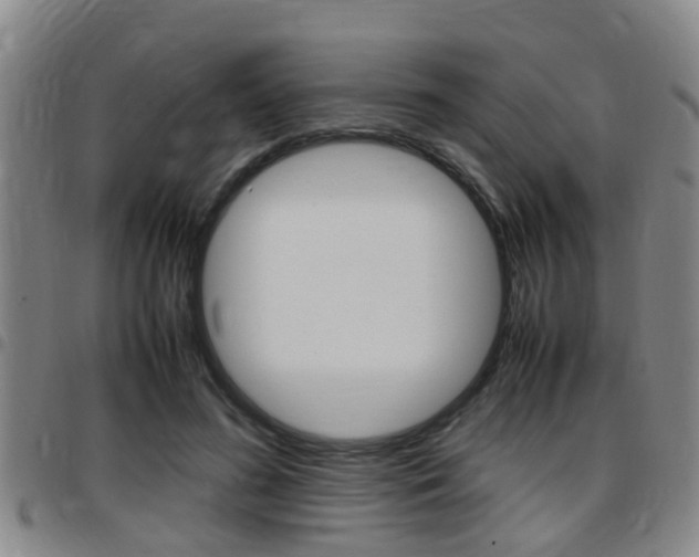 X0000097880596200803140944
