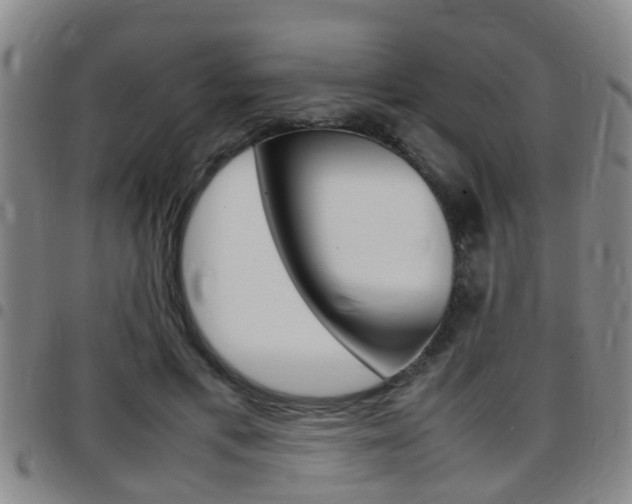 X0000097880597200803140944