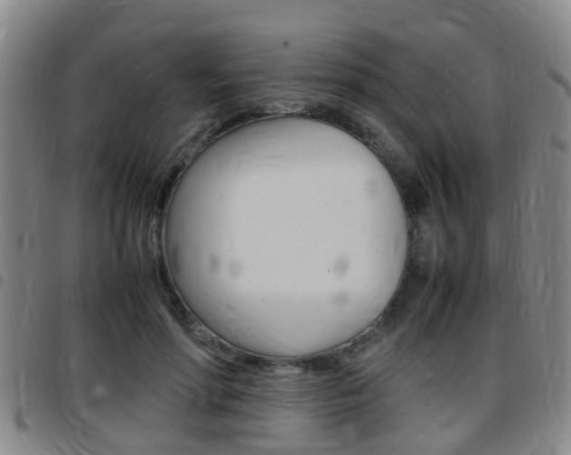 X0000097880598200803140944
