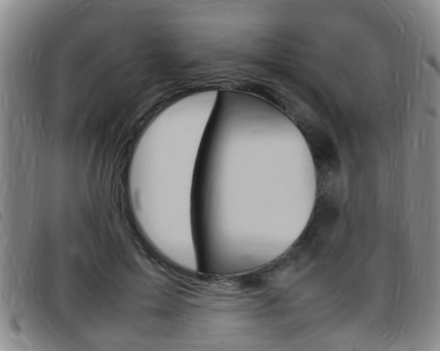 X0000097880599200803140944