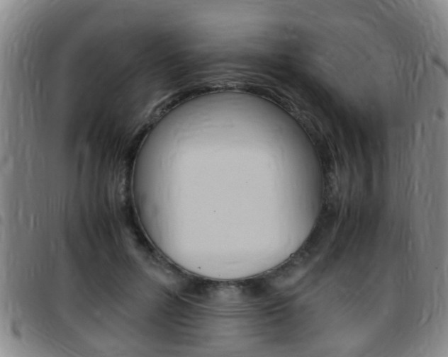 X0000097880600200803140944