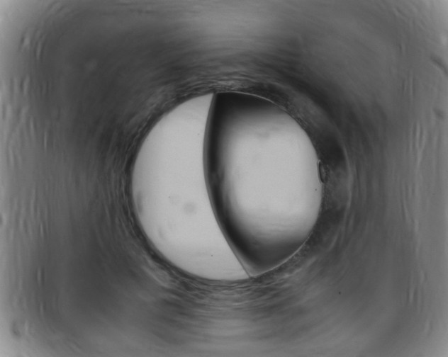 X0000097880601200803140944