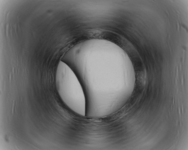 X0000097880602200803140944