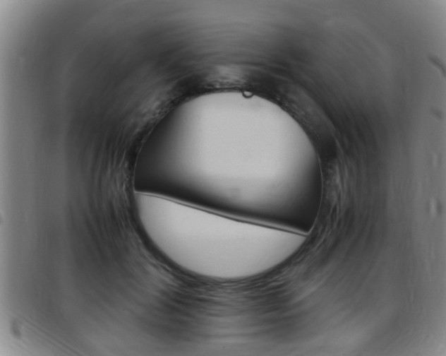 X0000097880604200803140944
