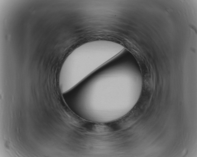 X0000097880605200803140944