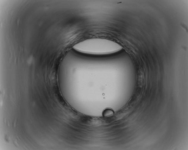 X0000097880608200803140944