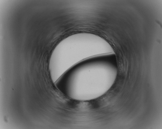 X0000097880609200803140944
