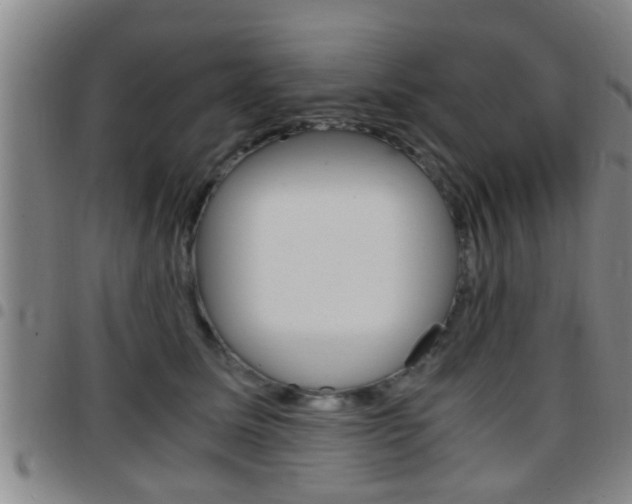 X0000097880611200803140944