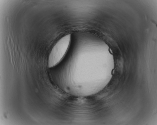 X0000097880612200803140944