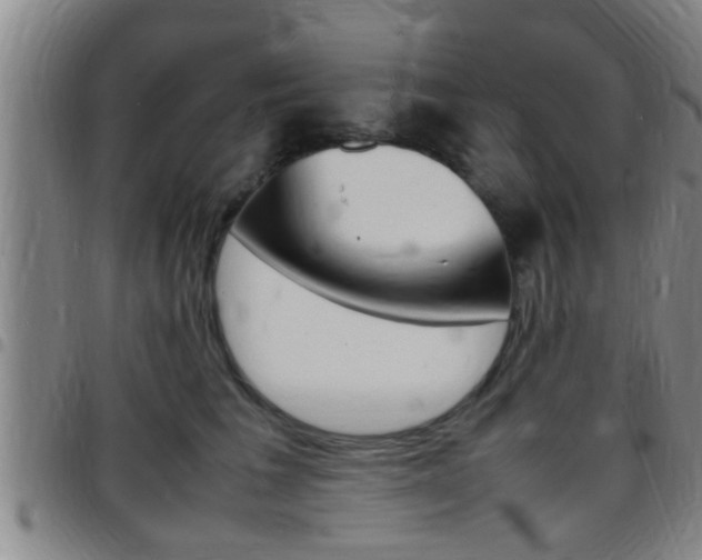 X0000097880613200803140944