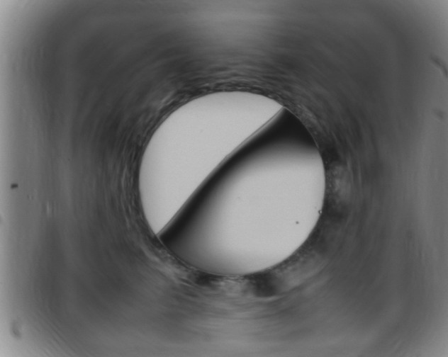 X0000097880615200803140944