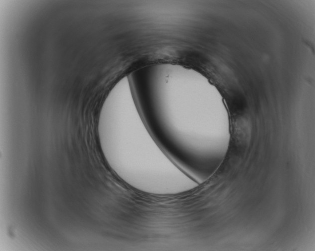 X0000097880617200803140944
