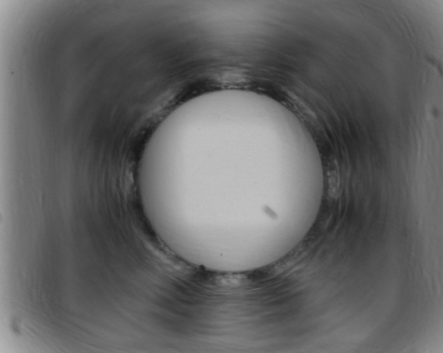 X0000097880618200803140944