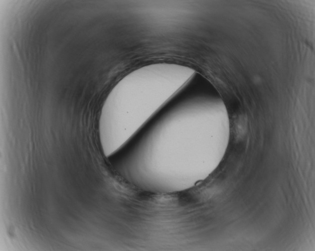 X0000097880619200803140944