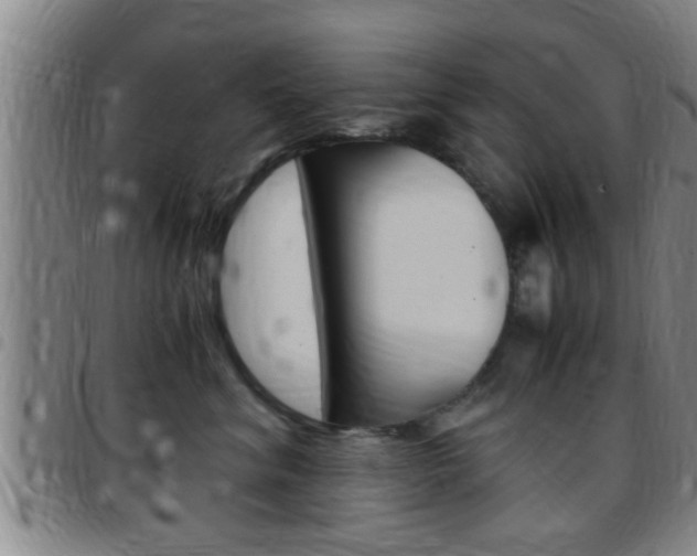 X0000097880620200803140943