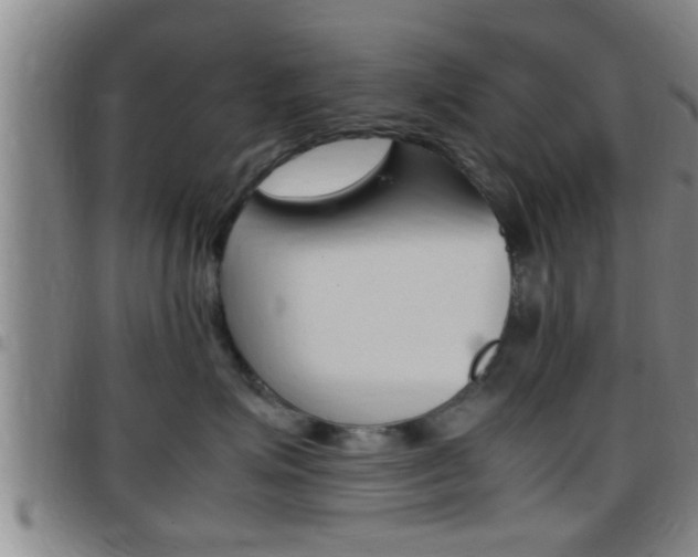 X0000097880623200803140943
