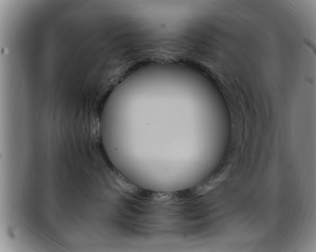 X0000097880624200803140943