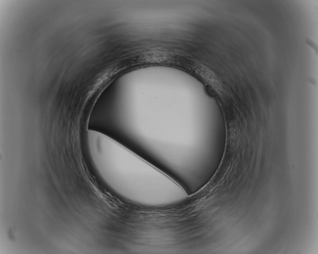 X0000097880626200803140943
