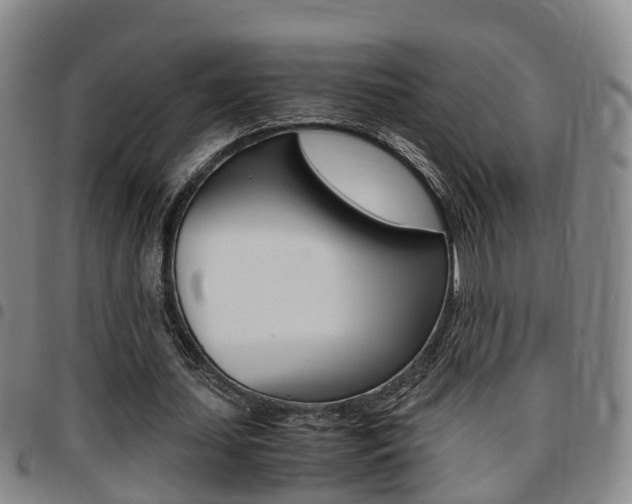 X0000097880627200803140943