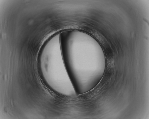 X0000097880628200803140943