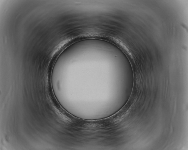 X0000097880629200803140943