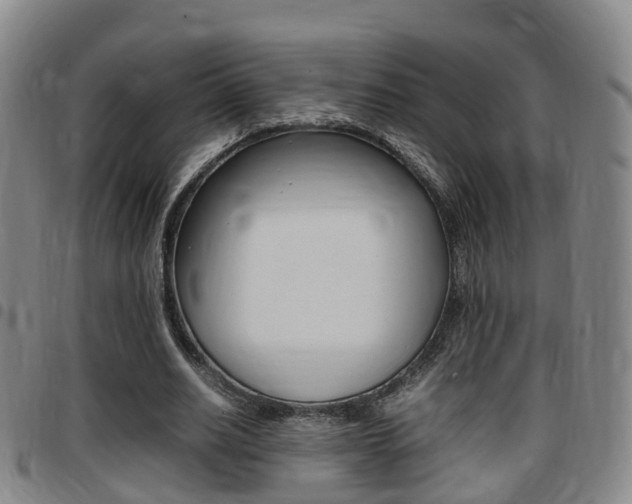 X0000097880630200803140943