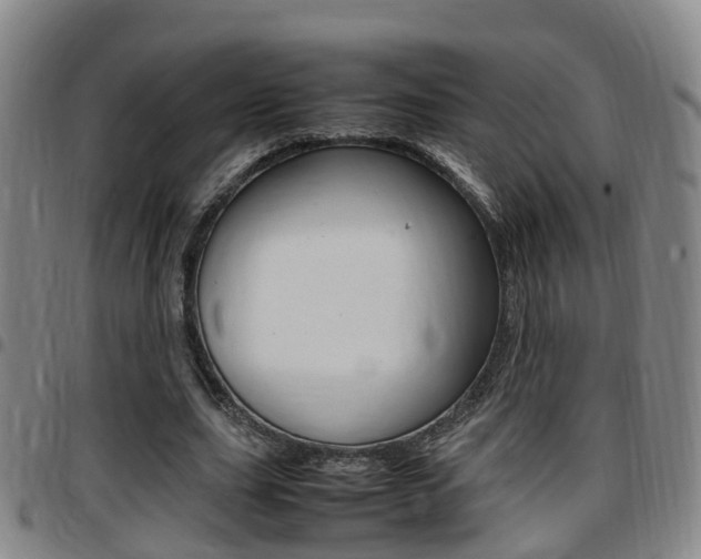 X0000097880631200803140943