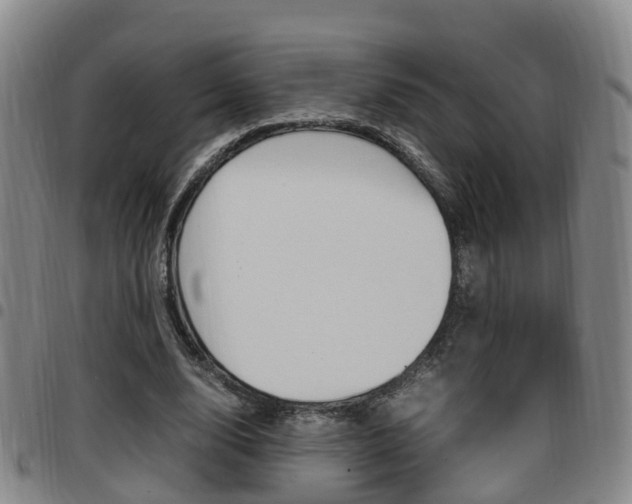 X0000097880632200803140943