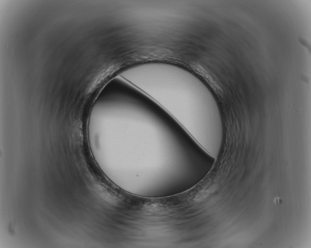 X0000097880634200803140943