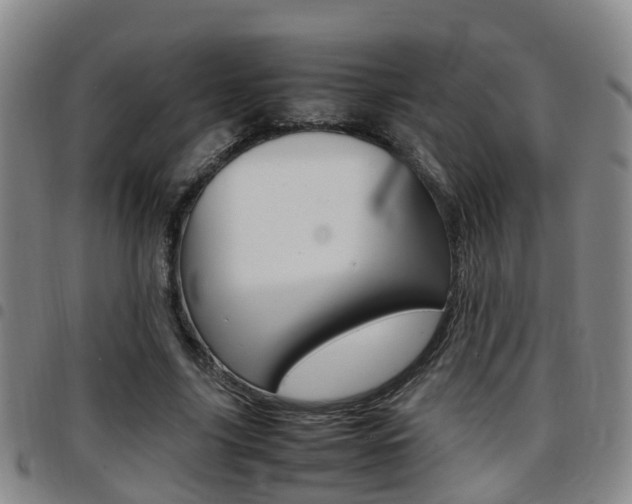 X0000097880635200803140943