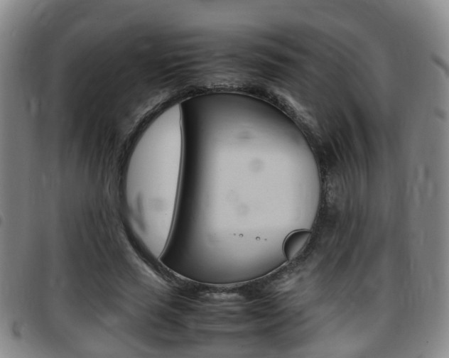 X0000097880637200803140943