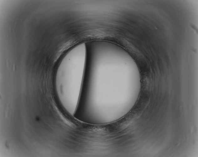 X0000097880638200803140943