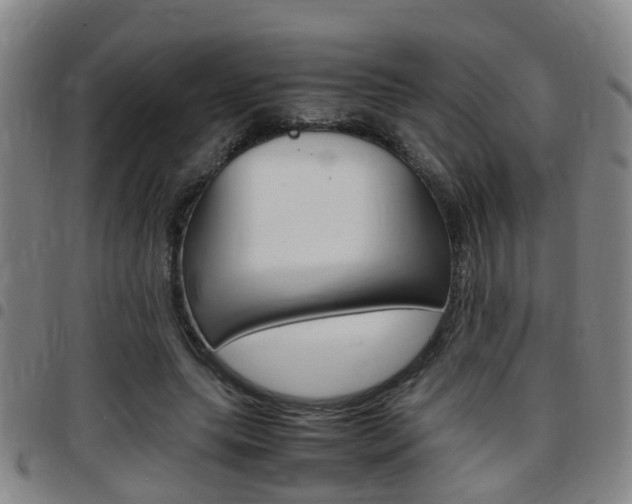 X0000097880639200803140943