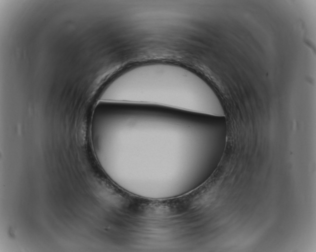 X0000097880640200803140943
