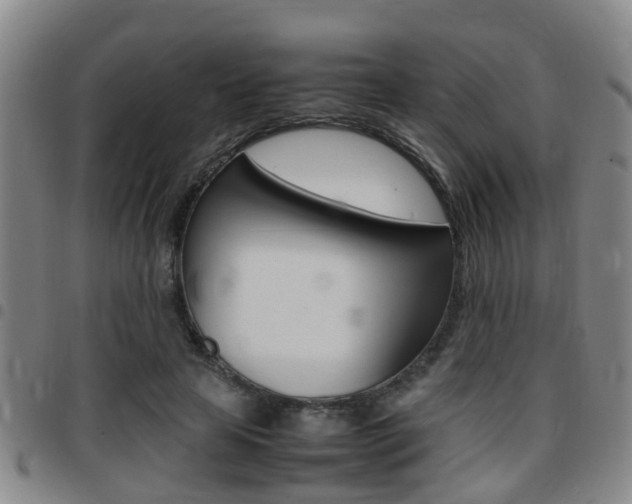 X0000097880641200803140943