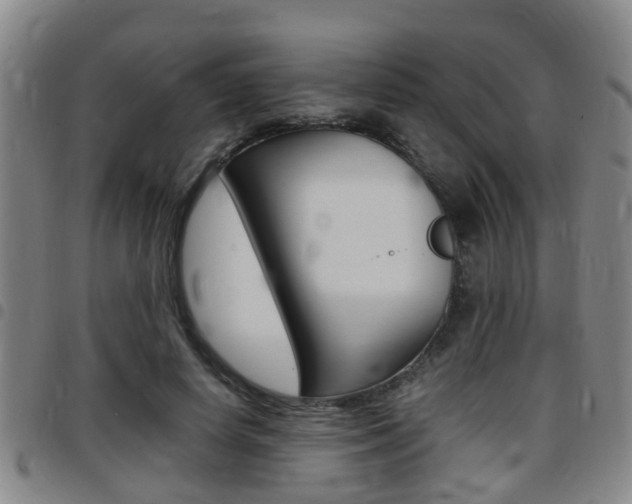X0000097880642200803140943