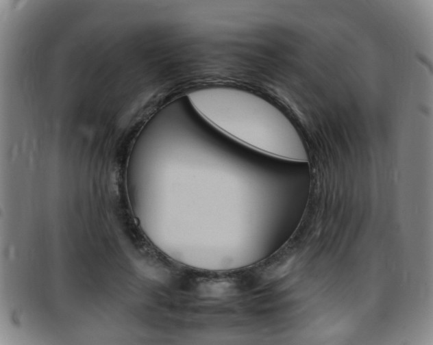 X0000097880643200803140943