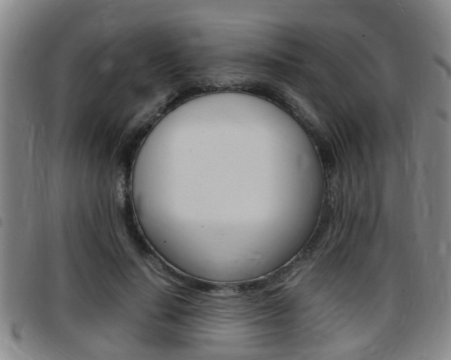 X0000097880644200803140943